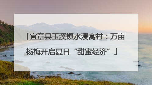 宜章县玉溪镇水浸窝村：万亩杨梅开启夏日“甜蜜经济”
