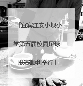 宜宾江安小坝小学第五届校园足球联赛顺利举行
