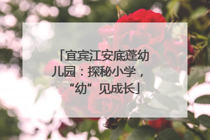 宜宾江安底蓬幼儿园：探秘小学，“幼”见成长