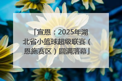 宣恩：2025年湖北省小篮球超级联赛（恩施赛区）圆满落幕