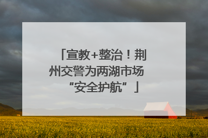 宣教+整治！荆州交警为两湖市场“安全护航”