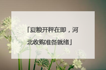 夏粮开秤在即，河北收购准备就绪