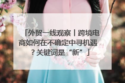 外贸一线观察丨跨境电商如何在不确定中寻机遇？关键词是“新”