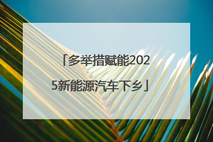 多举措赋能2025新能源汽车下乡