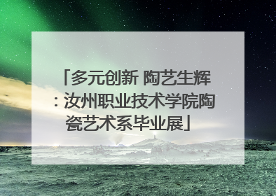 多元创新 陶艺生辉：汝州职业技术学院陶瓷艺术系毕业展