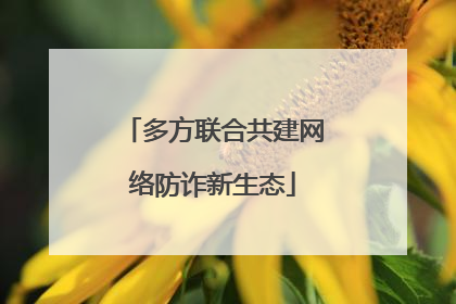 多方联合共建网络防诈新生态