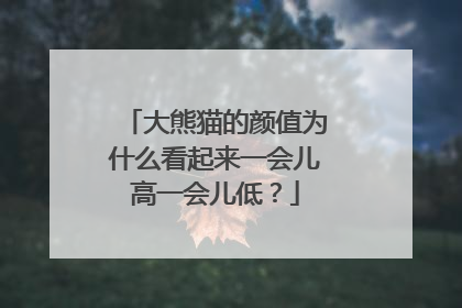 大熊猫的颜值为什么看起来一会儿高一会儿低？