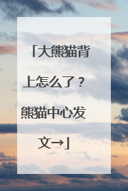 大熊猫背上怎么了？熊猫中心发文→