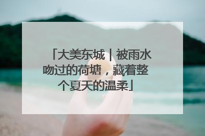 大美东城｜被雨水吻过的荷塘，藏着整个夏天的温柔