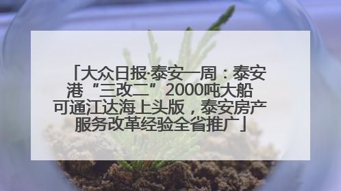大众日报·泰安一周：泰安港“三改二”2000吨大船可通江达海上头版，泰安房产服务改革经验全省推广