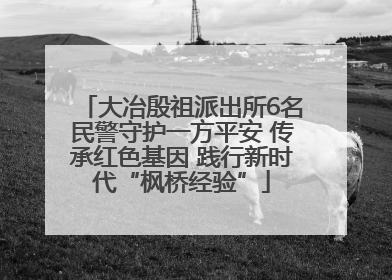 大冶殷祖派出所6名民警守护一方平安 传承红色基因 践行新时代“枫桥经验”