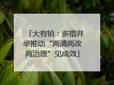 大有镇：多措并举推动“两清两改两治理”见成效