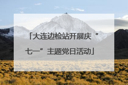 大连边检站开展庆“七一”主题党日活动