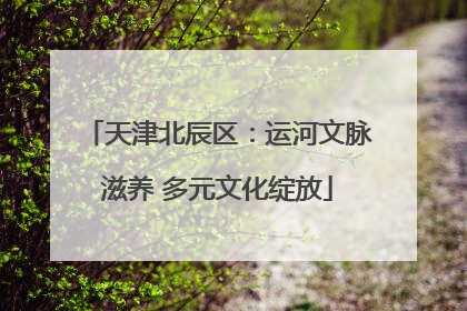天津北辰区：运河文脉滋养 多元文化绽放