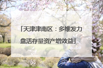天津津南区：多维发力盘活存量资产增效益