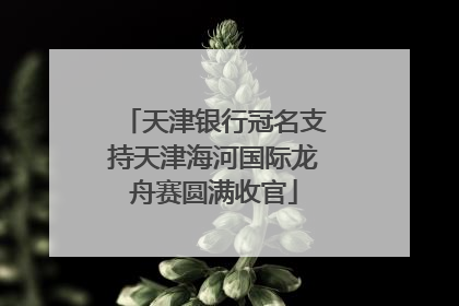 天津银行冠名支持天津海河国际龙舟赛圆满收官