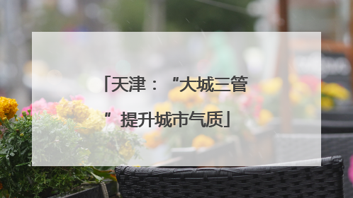 天津：“大城三管”提升城市气质