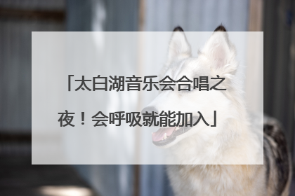 太白湖音乐会合唱之夜！会呼吸就能加入