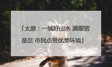 太原：一城好山水 满眼皆是景 市民点赞优美环境