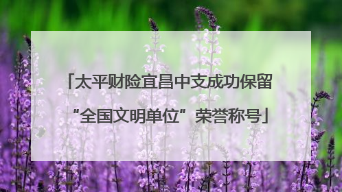 太平财险宜昌中支成功保留“全国文明单位”荣誉称号