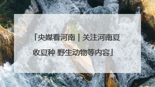 央媒看河南｜关注河南夏收夏种 野生动物等内容