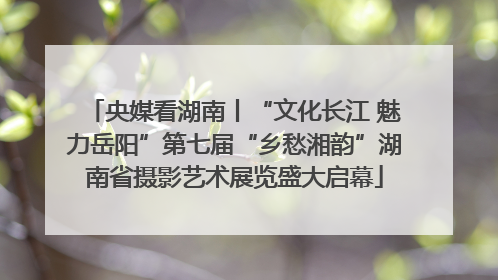 央媒看湖南丨“文化长江 魅力岳阳”第七届“乡愁湘韵”湖南省摄影艺术展览盛大启幕