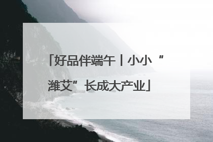 好品伴端午丨小小“潍艾”长成大产业