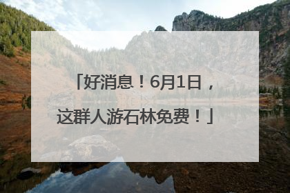 好消息！6月1日，这群人游石林免费！