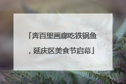 奔百里画廊吃铁锅鱼，延庆区美食节启幕