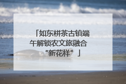 如东栟茶古镇端午解锁农文旅融合“新花样”