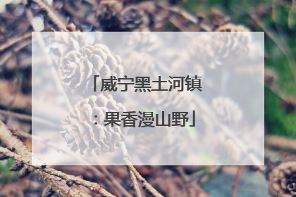 威宁黑土河镇：果香漫山野