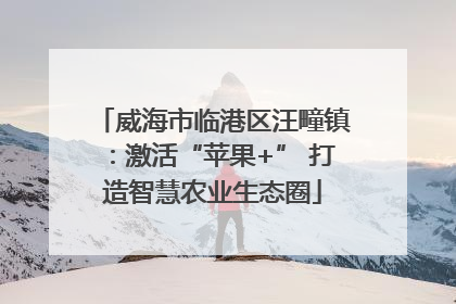 威海市临港区汪疃镇：激活“苹果+” 打造智慧农业生态圈