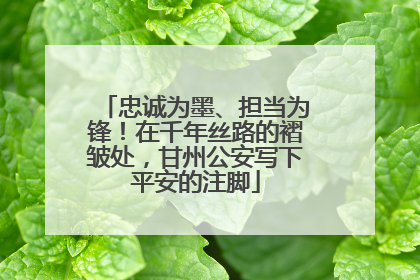 忠诚为墨、担当为锋！在千年丝路的褶皱处，甘州公安写下平安的注脚