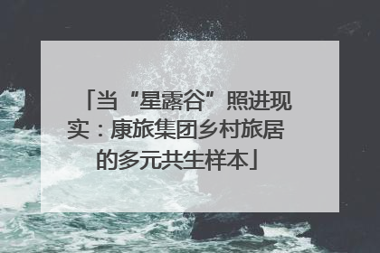 当“星露谷”照进现实：康旅集团乡村旅居的多元共生样本