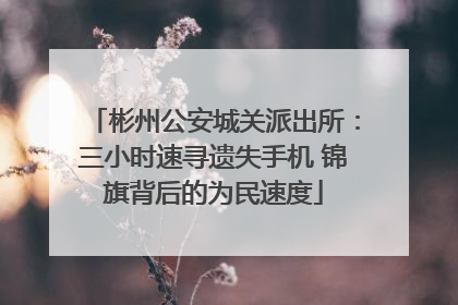 彬州公安城关派出所：三小时速寻遗失手机 锦旗背后的为民速度