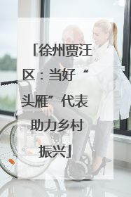 徐州贾汪区：当好“头雁”代表 助力乡村振兴