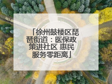 徐州鼓楼区琵琶街道：医保政策进社区 惠民服务零距离