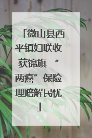 微山县西平镇妇联收获锦旗 “两癌”保险理赔解民忧
