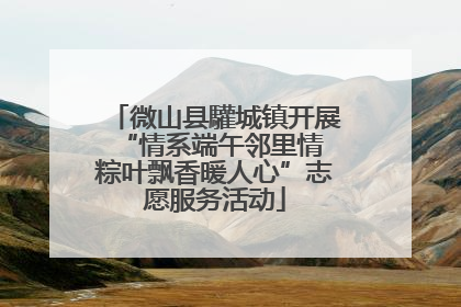 微山县驩城镇开展“情系端午邻里情 粽叶飘香暖人心”志愿服务活动