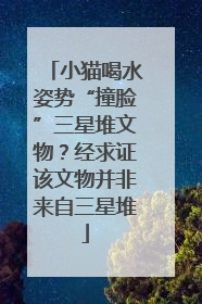 小猫喝水姿势“撞脸”三星堆文物？经求证该文物并非来自三星堆