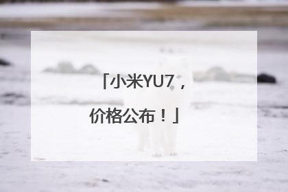 小米YU7，价格公布！