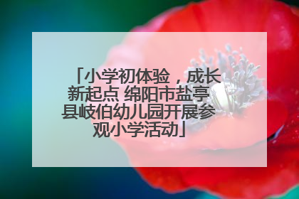 小学初体验，成长新起点 绵阳市盐亭县岐伯幼儿园开展参观小学活动