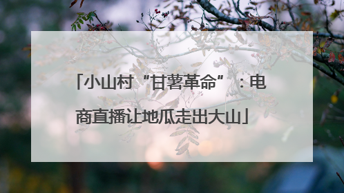 小山村“甘薯革命”：电商直播让地瓜走出大山