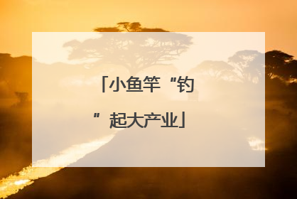 小鱼竿“钓”起大产业