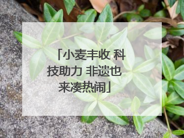 小麦丰收 科技助力 非遗也来凑热闹
