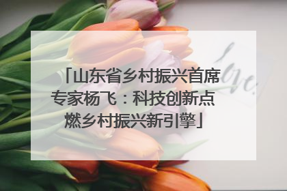 山东省乡村振兴首席专家杨飞：科技创新点燃乡村振兴新引擎