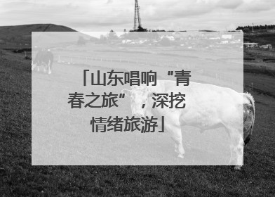 山东唱响“青春之旅”，深挖情绪旅游