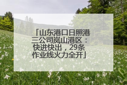 山东港口日照港三公司岚山港区：快进快出，29条作业线火力全开
