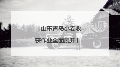 山东青岛小麦收获作业全面展开