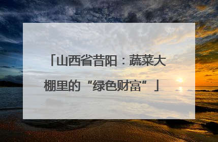 山西省昔阳：蔬菜大棚里的“绿色财富”